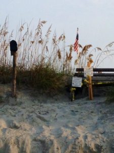 The Mailbox has a nest