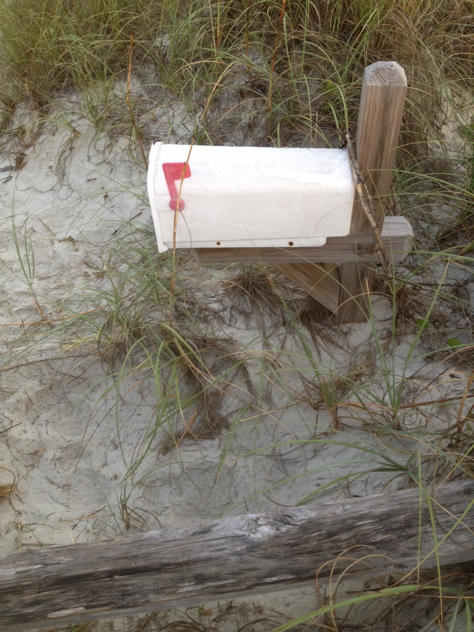 Has it's own bench too