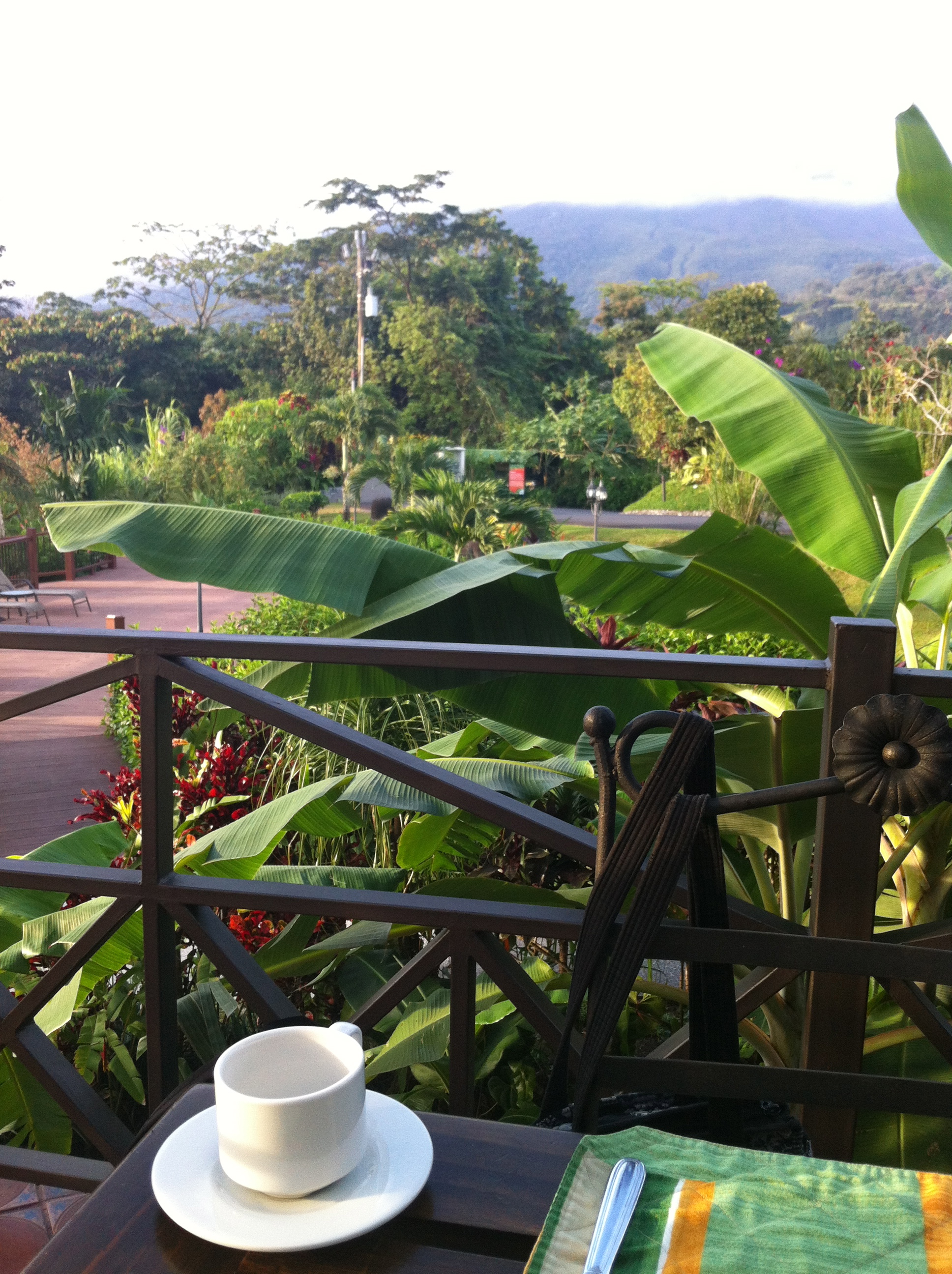 Breakfast with a View