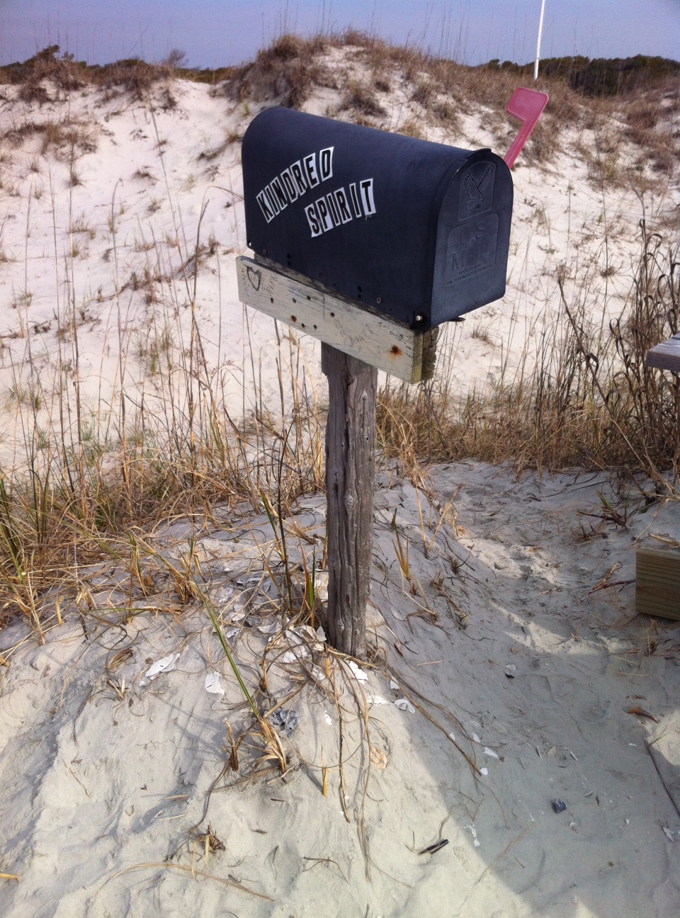 Mailbox survived the winter