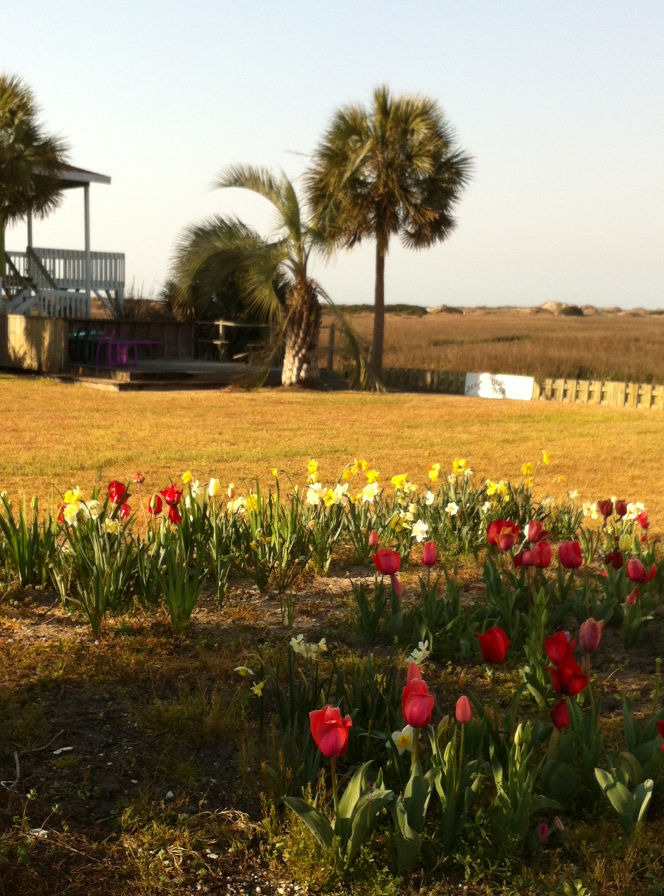 Spring with Bird Island in the backdrop