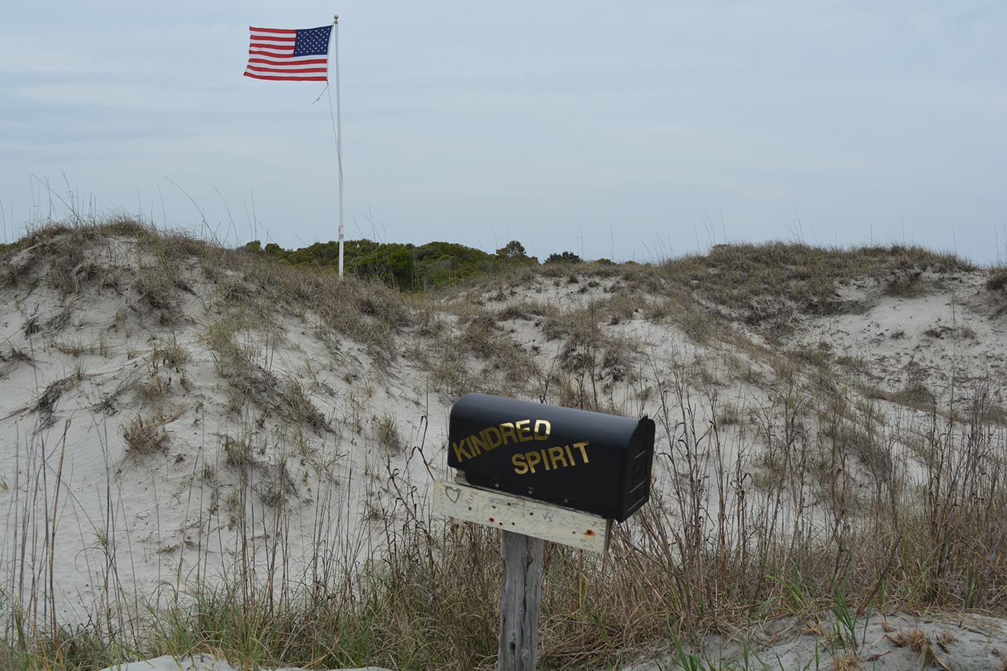 Doesn't it look beautiful!