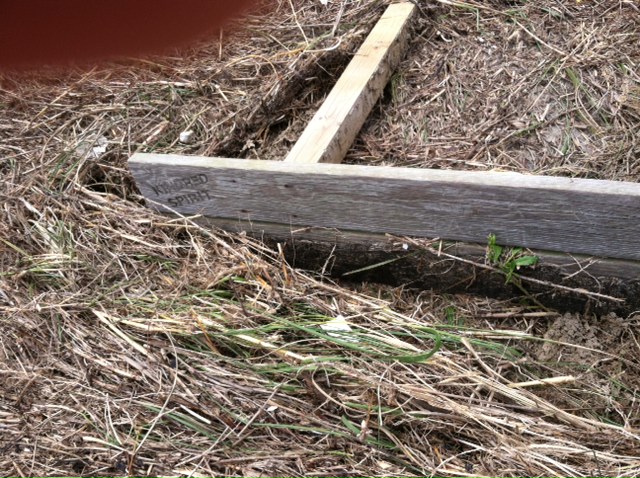 Kindred Spirit Mailbox needs our help after Tropical Storm Ana 2