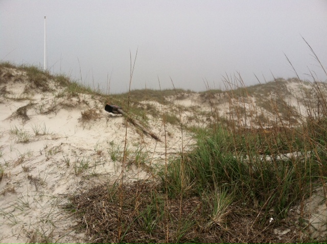 Kindred Spirit Mailbox needs our help after Tropical Storm Ana 3