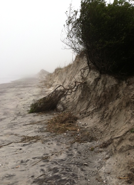 Kindred Spirit Mailbox needs our help after Tropical Storm Ana 4