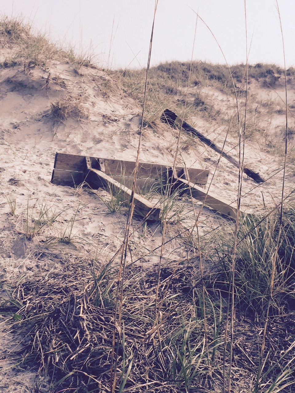Kindred Spririt Mailbox Damaged in Tropical Storm Ana 1